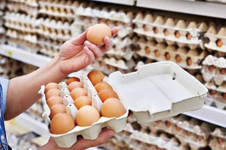 ՄՊՀ-ն՝ ձվի շուկայում իրավիճակի մասին