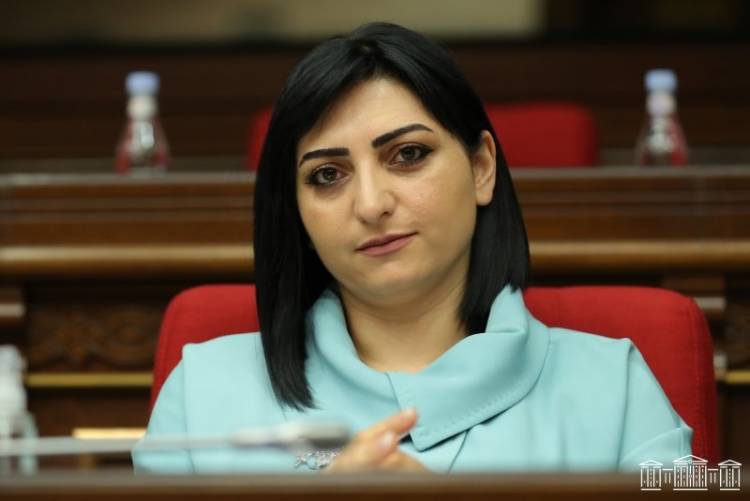 Շտապ գրություն եմ ուղարկել Հայաստանում ԱՄՆ և Ֆրանսիայի դեսպաններին. Թագուհի Թովմասյան