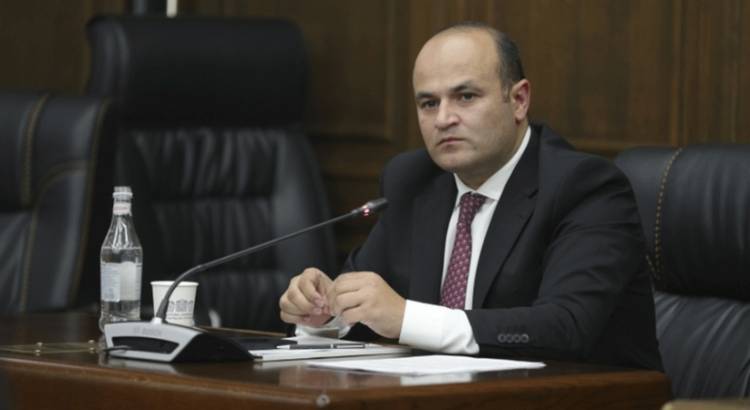 Ի՞նչ է հայտարարագրել ընտանեկան բիզնես ունեցող և Փարաքարում «հարց լուծողի» համբավ ձեռք բերած սոցնախարարը