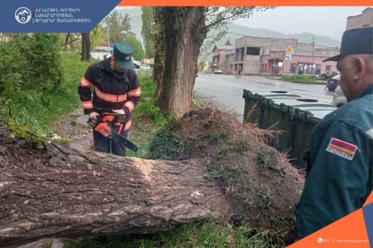 Քամու հետևանքով Երևանում, Վանաձորում, Իջևանում և Արագածոտնում ծառեր են տապալվել