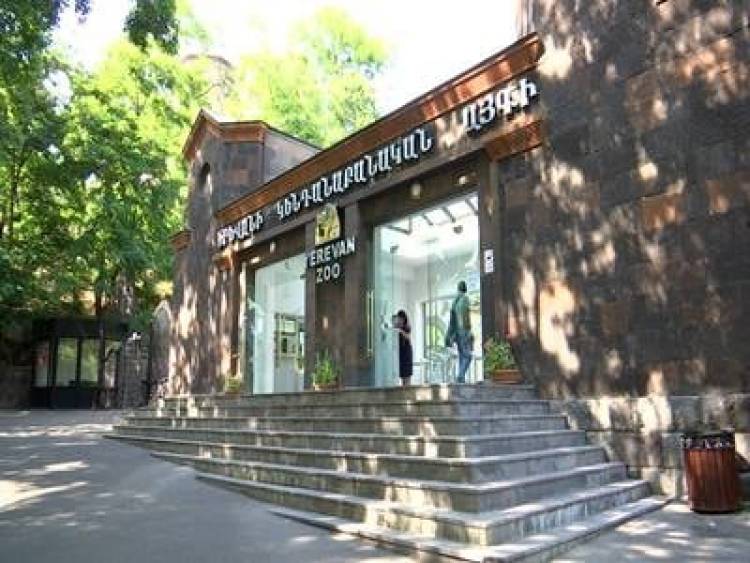 Մինչև որ տարիքի երեխաների մուտքն անվճար կլինի, ի՞նչ է սպասվում հունիսի 1-ին Կենդանաբանական այգում